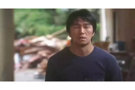 浦东要账公司更多成功案例详情